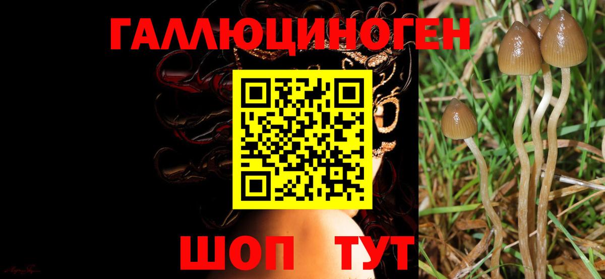 Рубцовск  сколько стоит  Галлюциногенные грибы прущие грибы  Вход с VPN  Галлюциногенные грибы MAGIC MUSHROOMS 